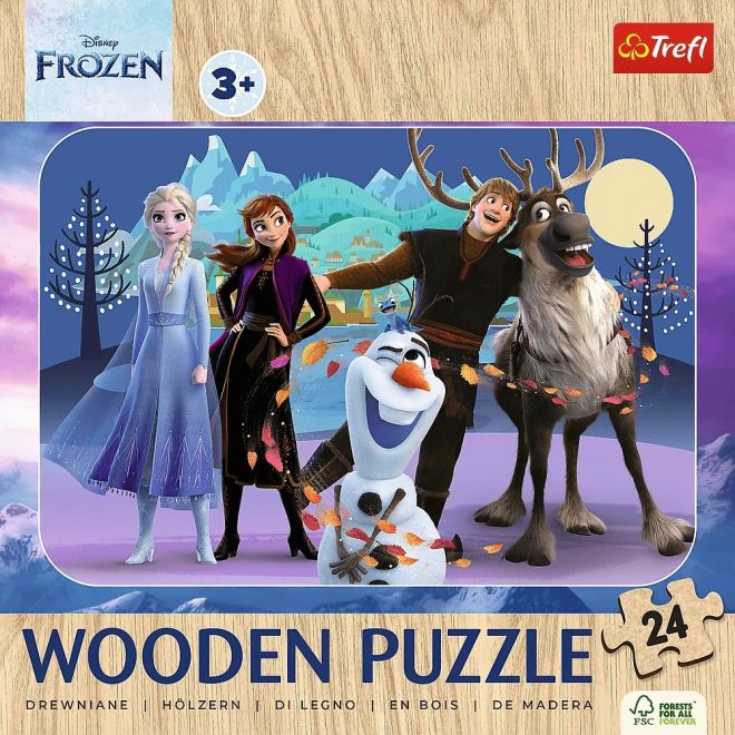 Dřevěné puzzle 24 dílků Ledovec