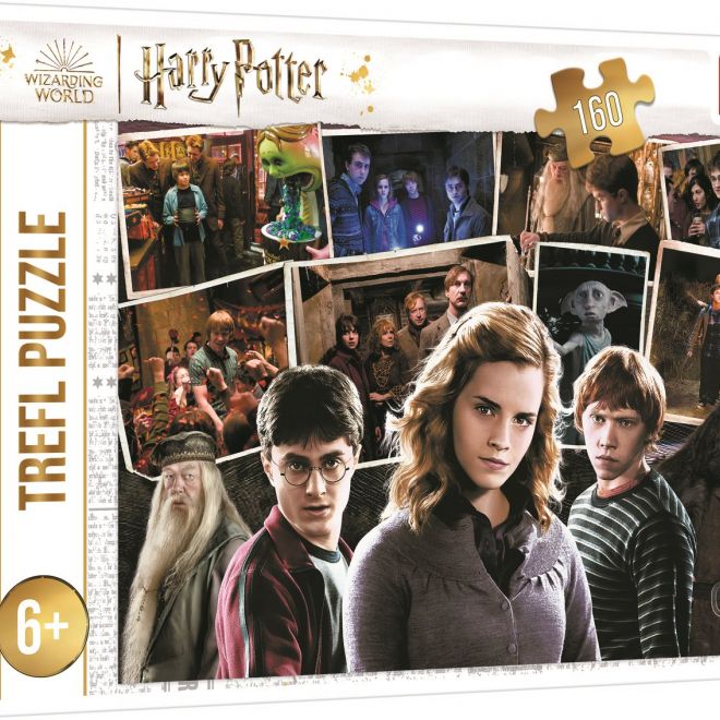 TREFL Puzzle Harry Potter s přáteli 160 dílků