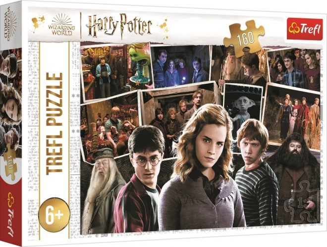 Puzzle Harry Potter a přátelé