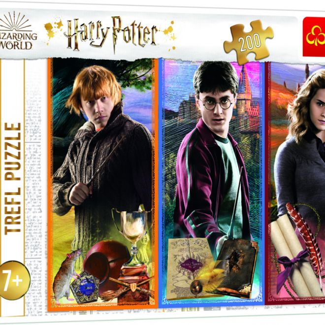 Puzzle Harry Potter Ve světě magie a čarodějnictví 200 dílků