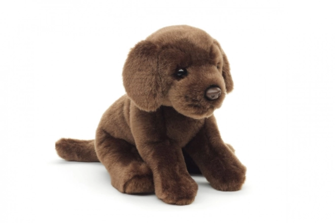 Plyš Labrador 30 cm - ECO-FRIENDLY