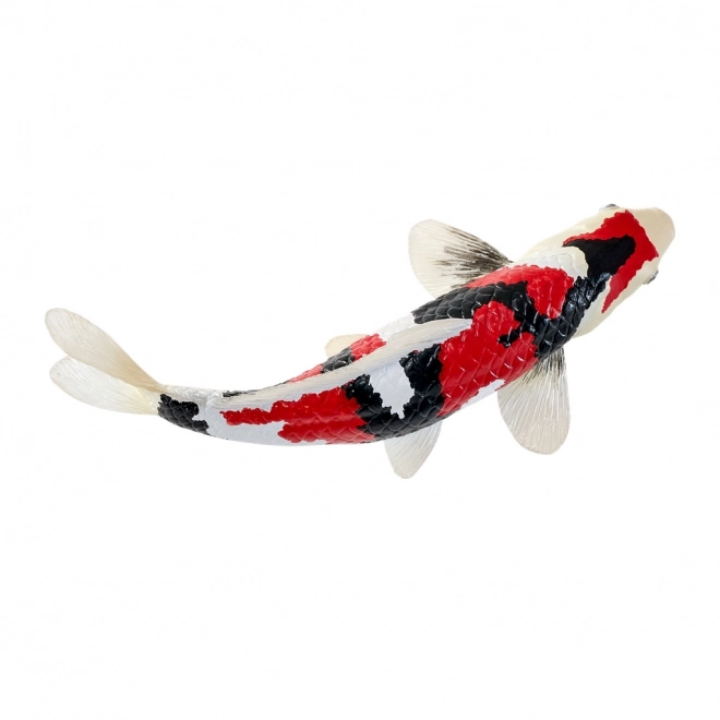 Mojo kapr koi showa sanshoku
