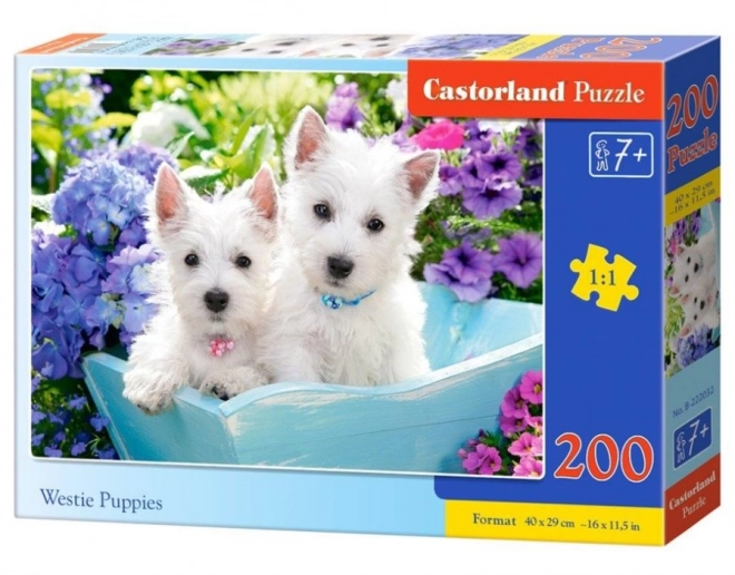 Puzzle Westie štěňata