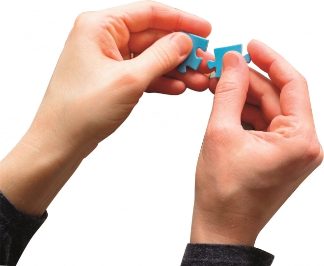 Puzzle s tropickým pohledem z ptačí perspektivy