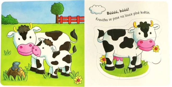 Svojtka & Co. Kniha s puzzle: Na statku
