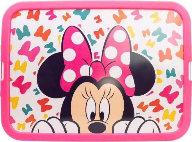 Úložný box 13l Minnie