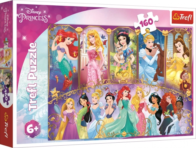 Puzzle Portréty princezen Disney 41x27,5cm 160 dílků v krabici 29x19x4cm