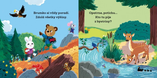 Brumko Rozumko Táborničí - Knížka s pohyblivými obrázky