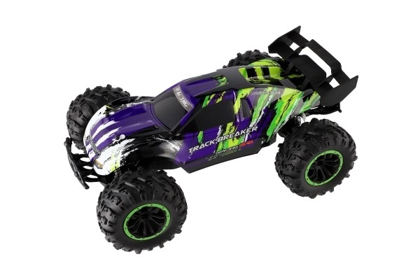 Auto RC Buggy rychlostní 2,4GHz plast 40cm dobíjecí pack+baterie fialové v krabici 42x21x28cm