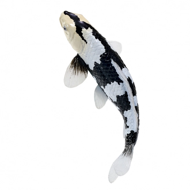 Mojo kapr Koi Shiro Utsuri