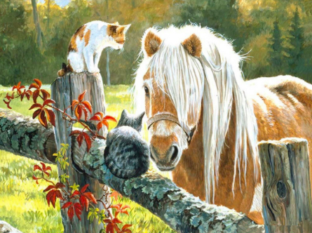 Sada na diamantové malování - kůň s kočičkami