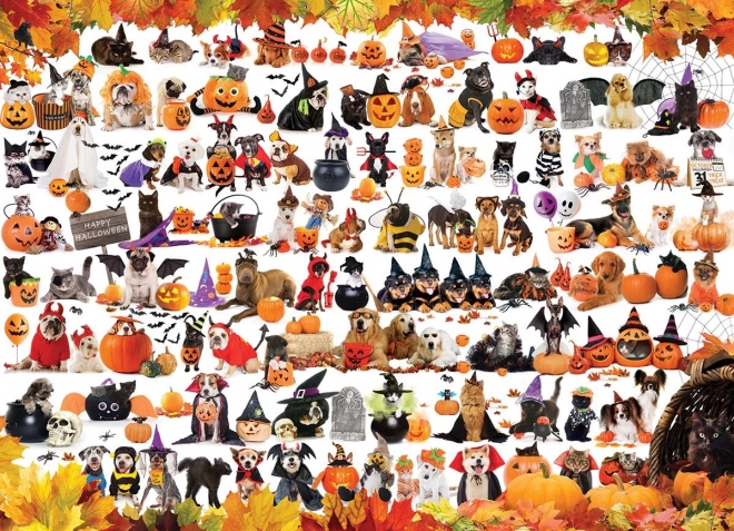 EUROGRAPHICS Puzzle Halloweenská zvířátka 1000 dílků