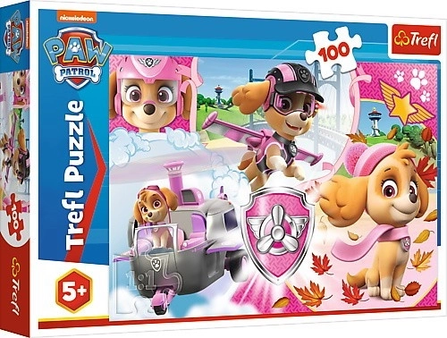 Puzzle Paw Patrol/Tlapková patrola Skye v akci 41x27,5cm 100 dílků v krabici 29x19x4cm