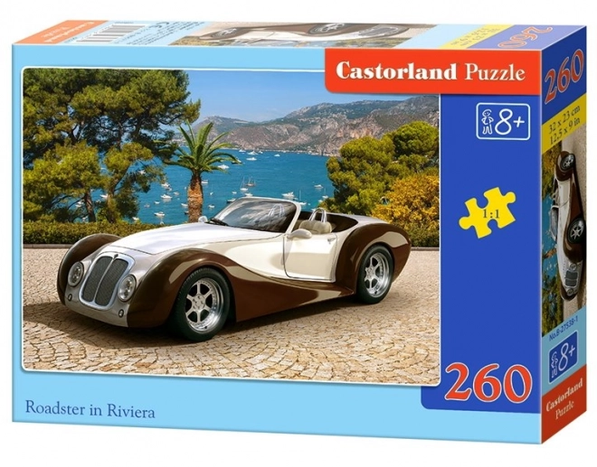 Puzzle Roadster na riviéře