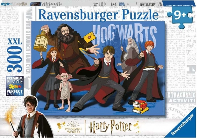 Puzzle Harry Potter a čarodějové 300 dílků