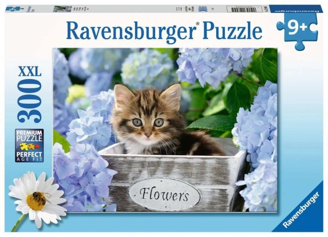 RAVENSBURGER Puzzle Malé kotě XXL 300 dílků