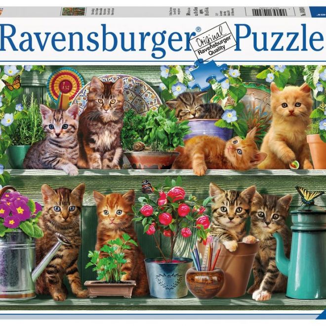 RAVENSBURGER Puzzle Kočky na poličce 500 dílků
