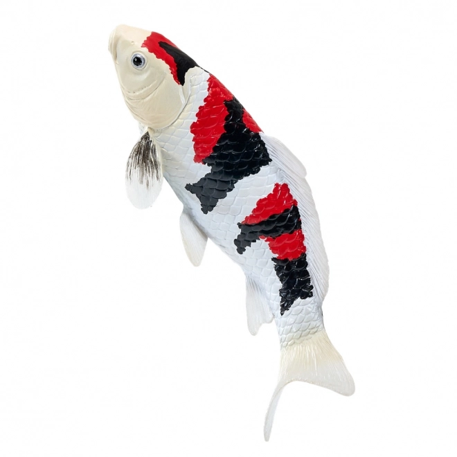 Mojo kapr koi showa sanshoku
