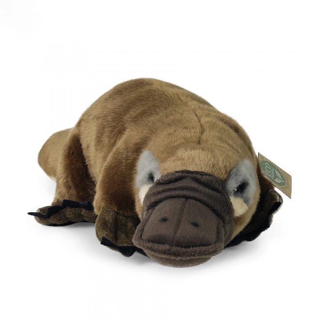 Realistický design