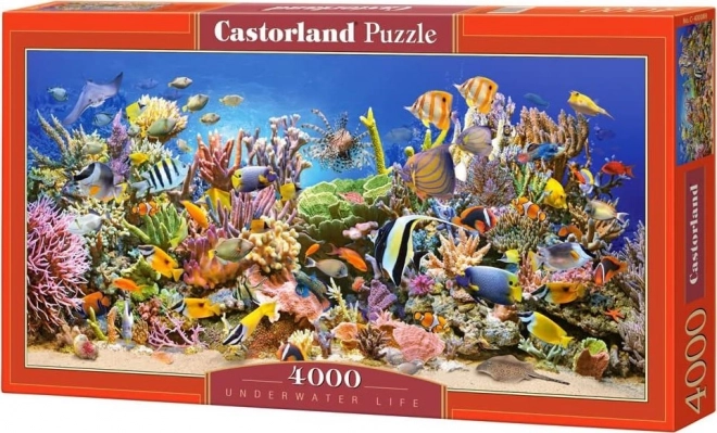 CASTORLAND Puzzle Podmořský život 4000 dílků