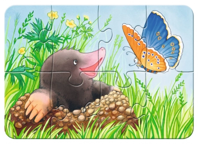 RAVENSBURGER Moje první puzzle Zvířátka v zahradě 4v1 (2,4,6,8 dílků)