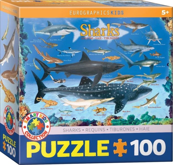 EUROGRAPHICS Puzzle Žraloci 100 dílků