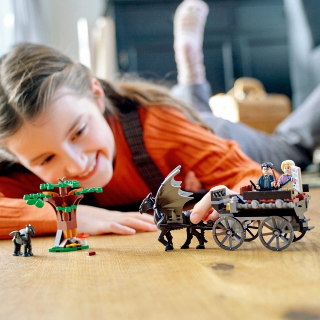 LEGO Harry Potter 76400 Bradavice: Kočár a testrálové