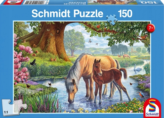 SCHMIDT Puzzle Koně v řece 150 dílků