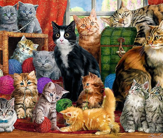 Puzzle Kočičí schůzka 1000 dílků