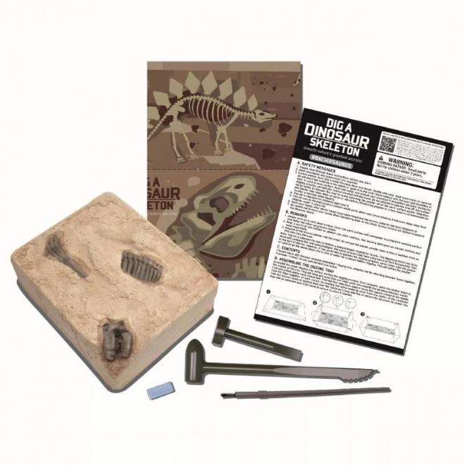 Dinosauří kostra - Brachiosaurus