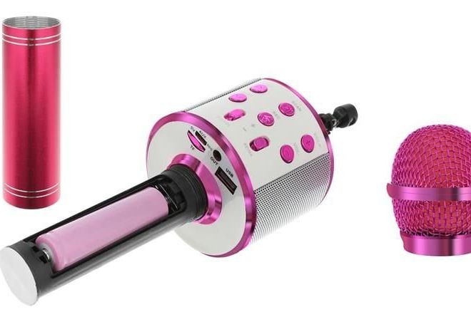 Bezdrátový karaoke mikrofon s reproduktorem – Sytě růžový