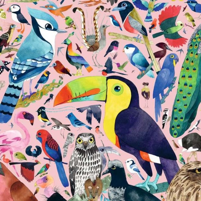 2D puzzle 1000 dílků Matt Sewells Velkolepí ptáci