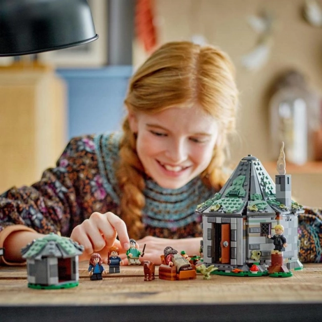 LEGO Harry Potter 76428 Hagridova bouda: Neočekávaná návštěva