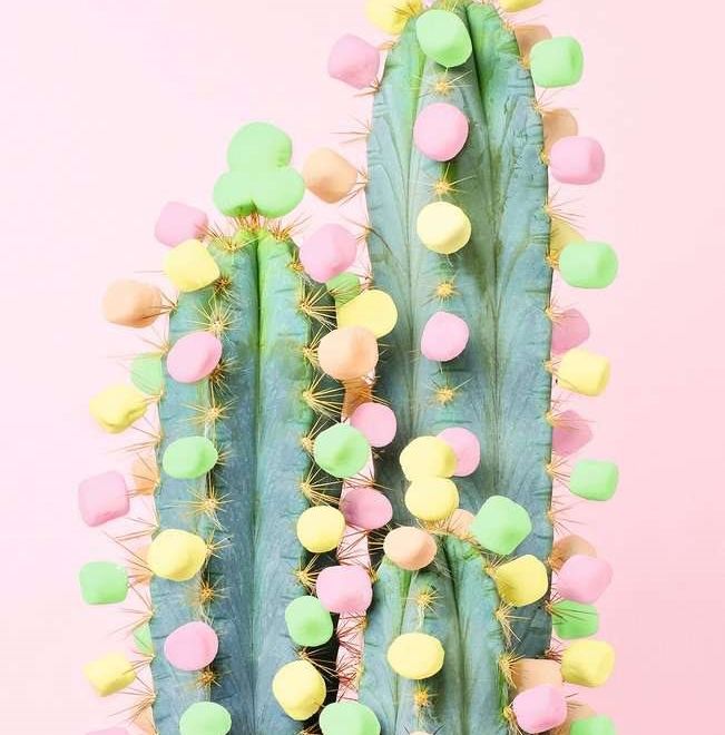 RAVENSBURGER Puzzle Moment: Kaktus 200 dílků