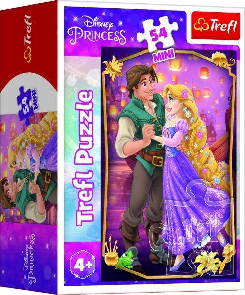 Minipuzzle Krásné princezny/Disney Princess 54dílků 4 druhy v krabičce 6x9x4cm 40ks v boxu