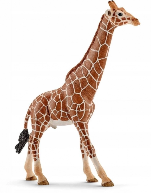 SCHLEICH Wild Life® 14749 Samec žirafy