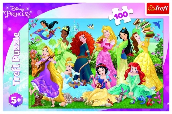 Puzzle Půvabné princezny/Disney 100 dílků 41x27,5cm v krabici 29x19x4cm