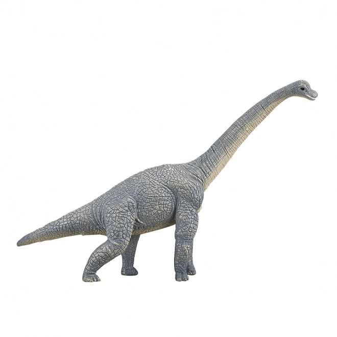 Mojo Brachiosaurus