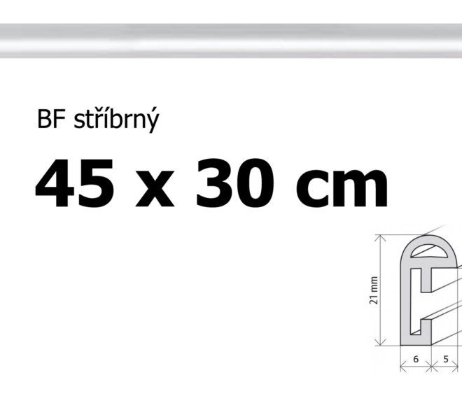 BFHM Plastový rám 45x30cm - stříbrný
