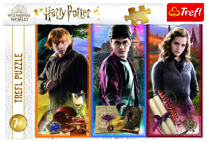 Puzzle Harry Potter: Ve světě magie a čarodějnictví