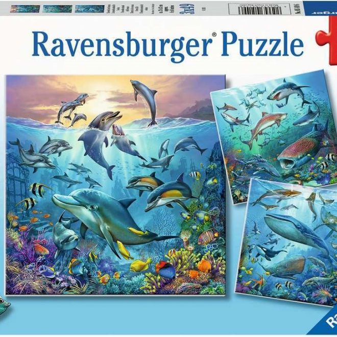 RAVENSBURGER Puzzle Zvířata z oceánu 3x49 dílků