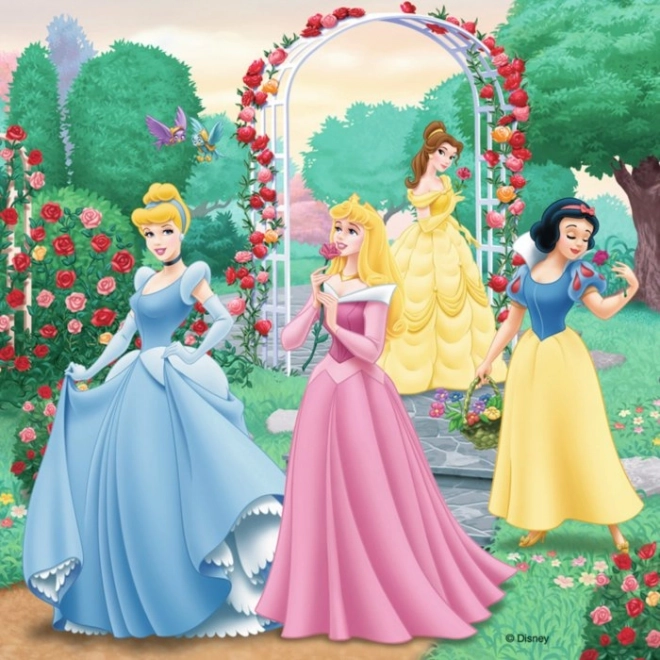 RAVENSBURGER Puzzle Disney princezny: Sny 3x49 dílků