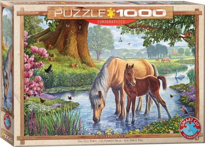 EUROGRAPHICS Puzzle Fellští poníci 1000 dílků