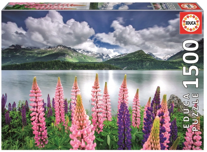 EDUCA Puzzle Lupiny na břehu jezera Sils, Švýcarsko 1500 dílků