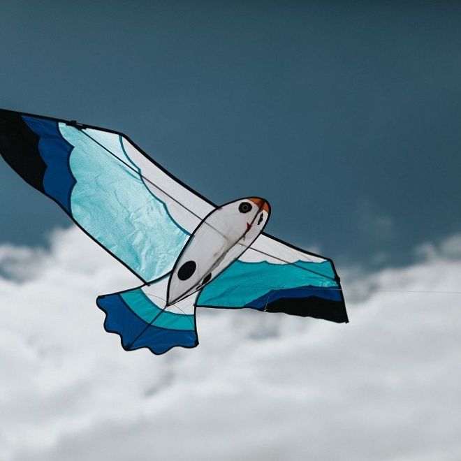 Létající drak Racek 180 x 60 cm