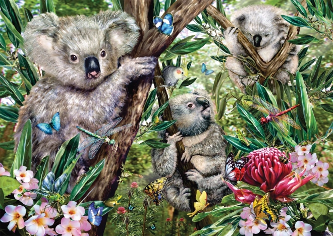 Puzzle s koala rodinkou 500 dílků