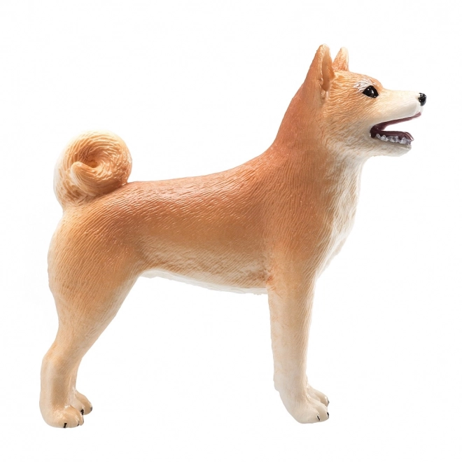 Mojo Pes Shiba Inu