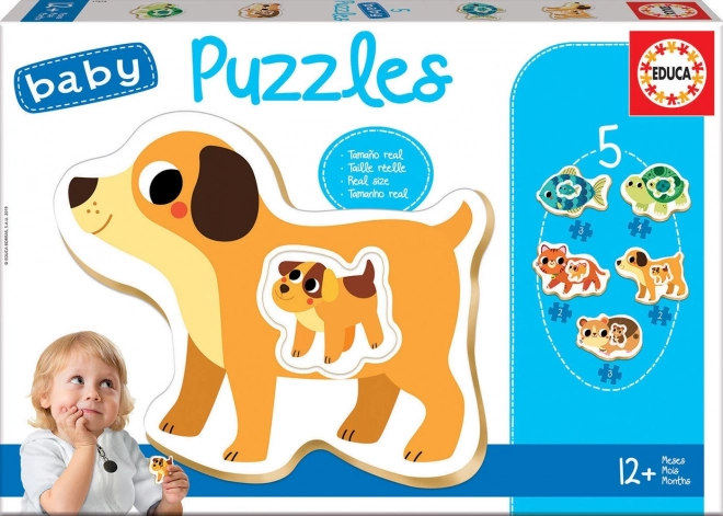 EDUCA Baby puzzle Domácí mazlíčci s mláďaty 5v1 (2-4 dílky)