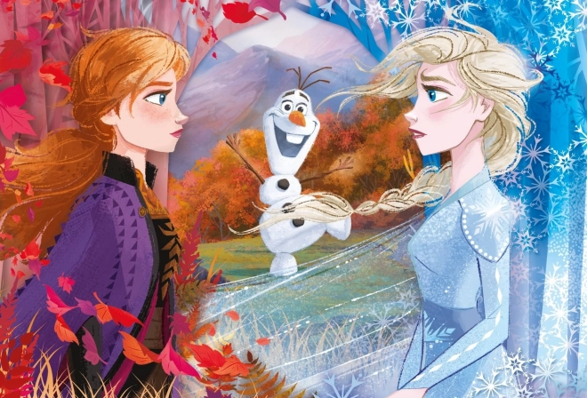 Puzzle Maxi s motivem Frozen 2