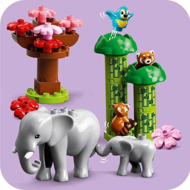 LEGO Duplo 10974 Divoká zvířata Asie